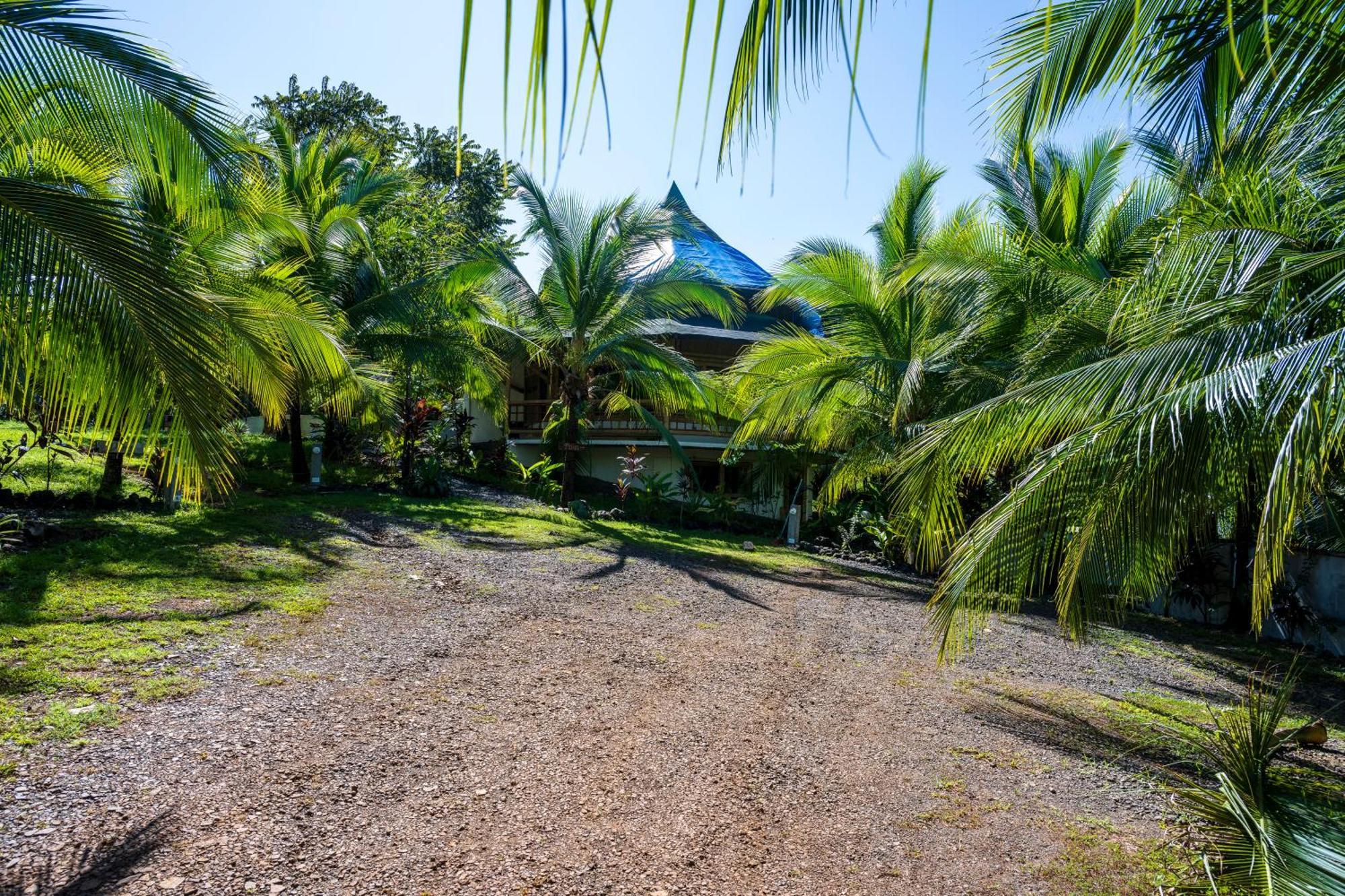 Eco-Lodge Deseo Bamboo Санта Каталина Екстериор снимка