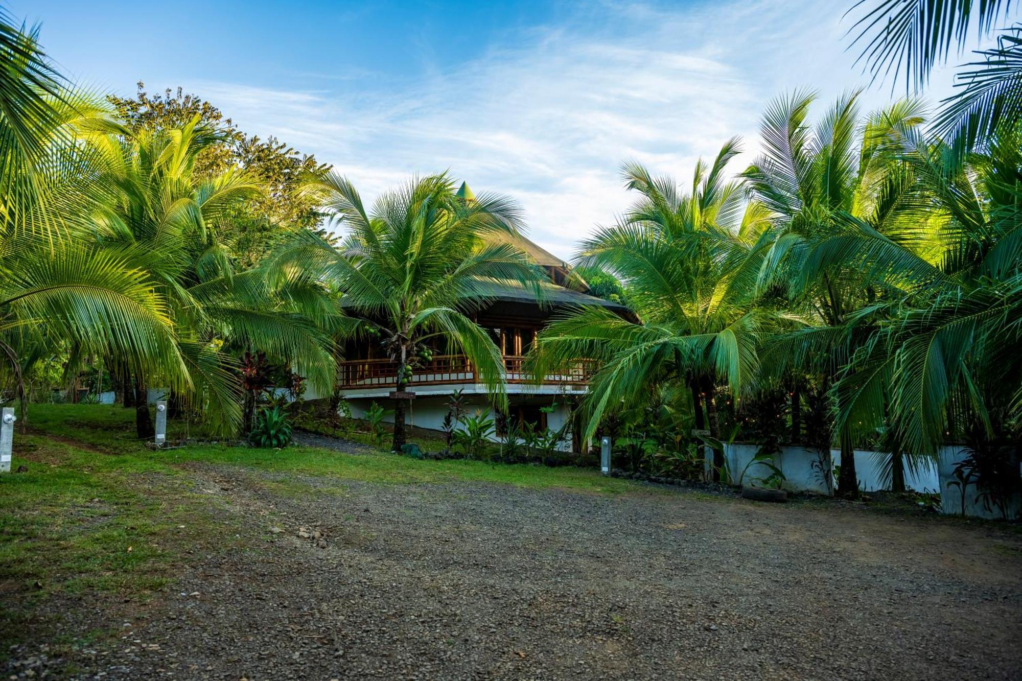 Eco-Lodge Deseo Bamboo Санта Каталина Екстериор снимка