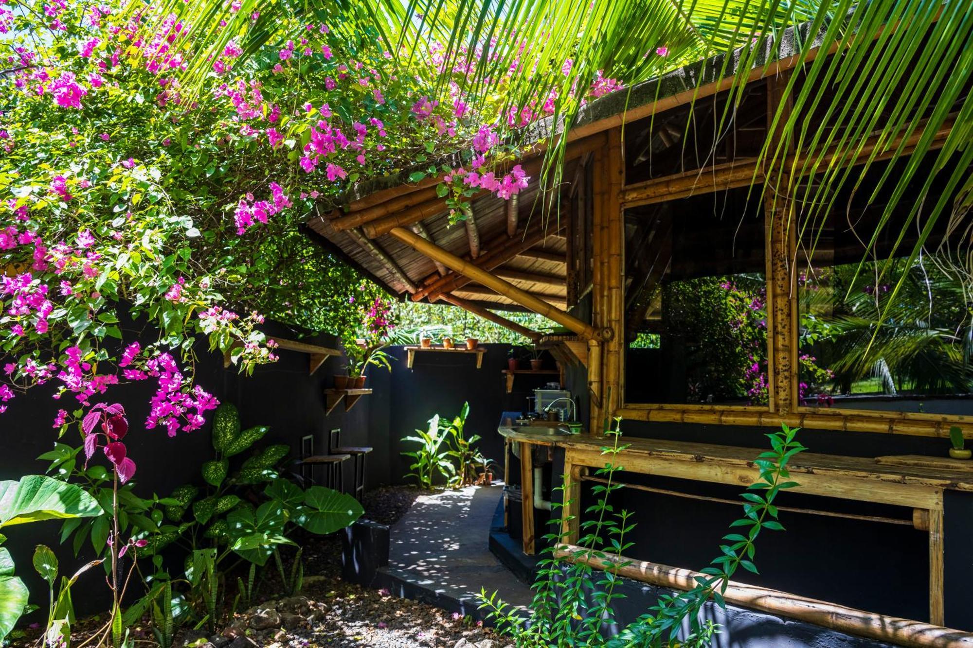 Eco-Lodge Deseo Bamboo Санта Каталина Екстериор снимка